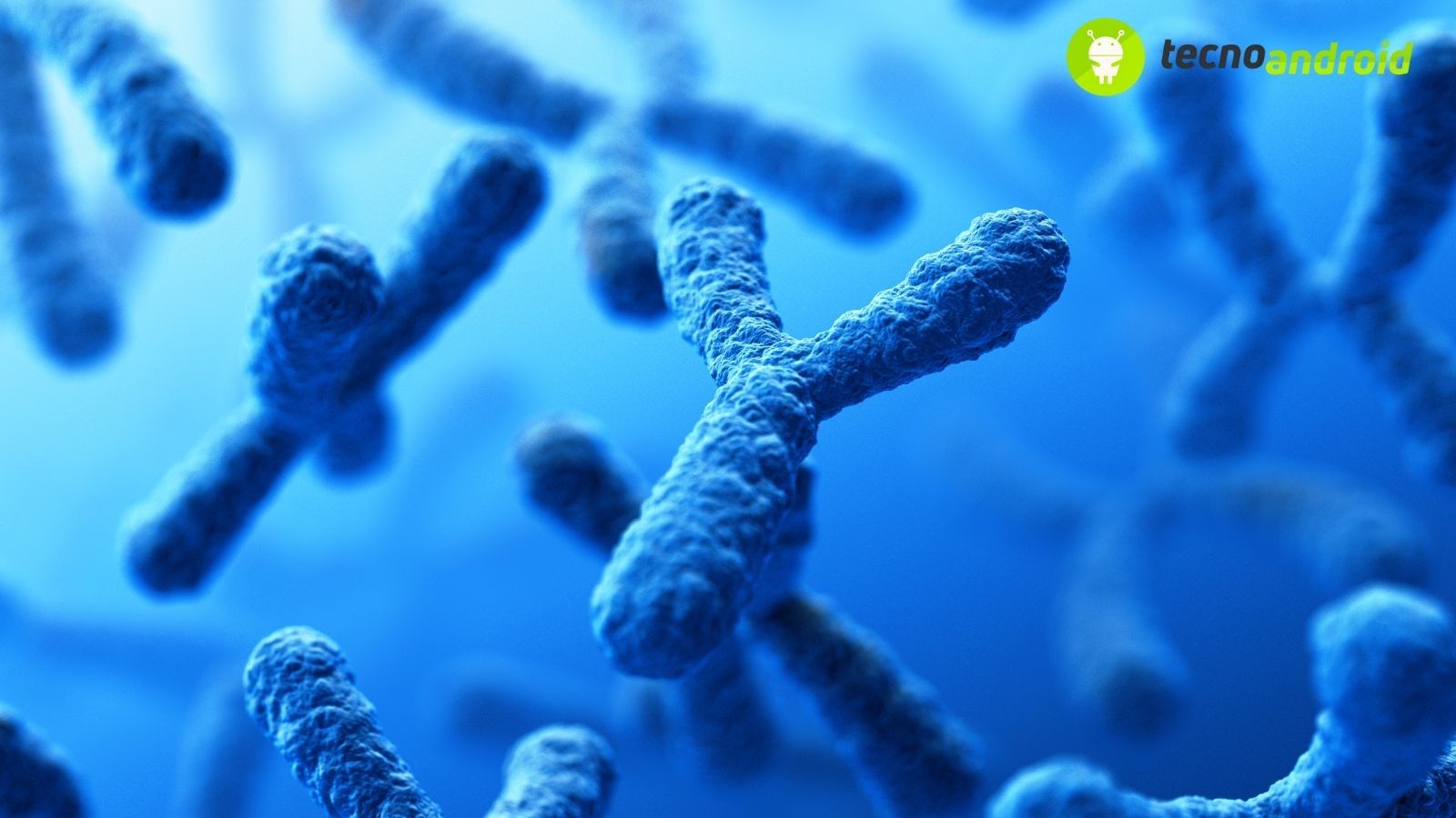 scienza cromosoma y