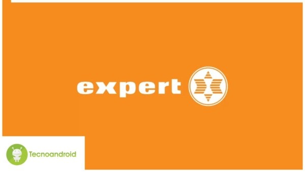 Expert