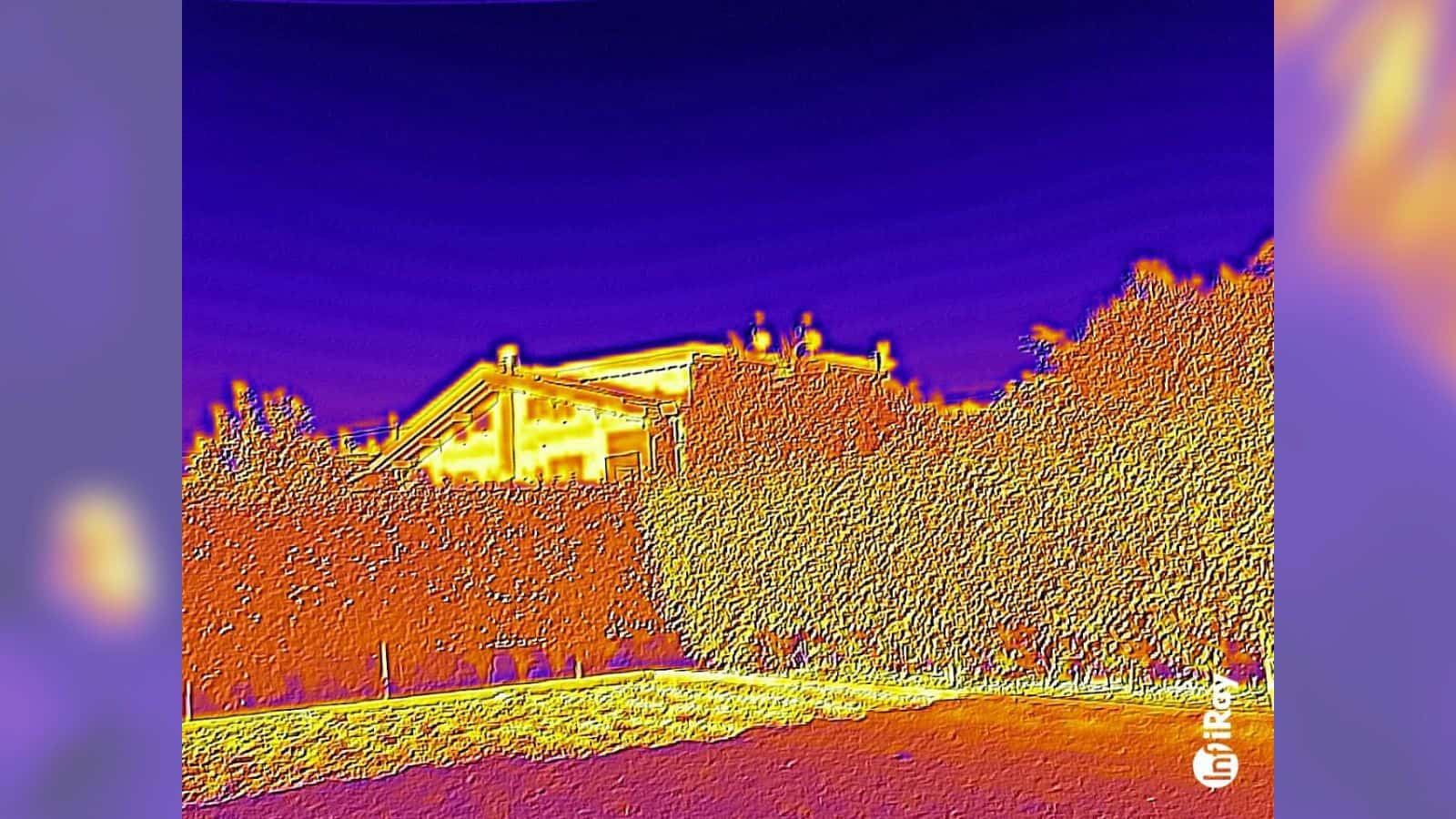 smartphone dogee V31 GT