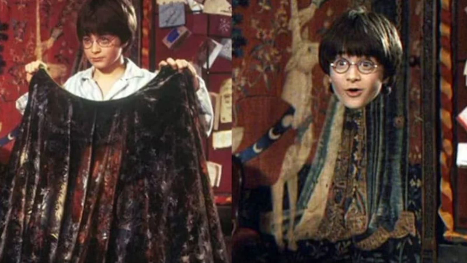 Mantello dell'invisibilità di Harry Potter è REALE, viene utilizzato nella guerra in Ucraina