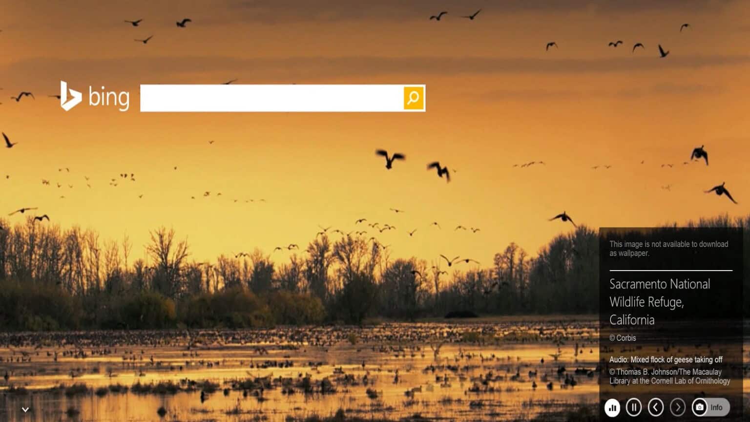 Microsoft, Bing, ricerca, fake news