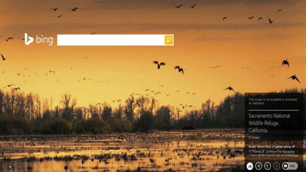 Microsoft, Bing, ricerca, fake news