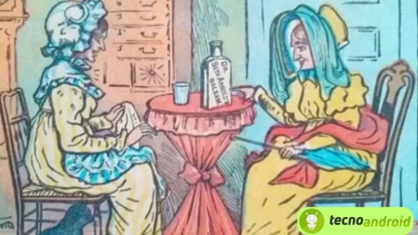 Super sfida in arrivo: trovare il secondo gatto in questa illusione ottica