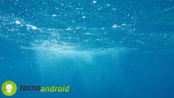 La percentuale di oceano mappato vi sorprenderà!