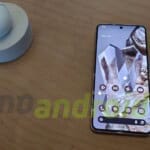 google - design Google Pixel 8 e Pixel 8 Pro ufficiali: scheda tecnica e prezzo