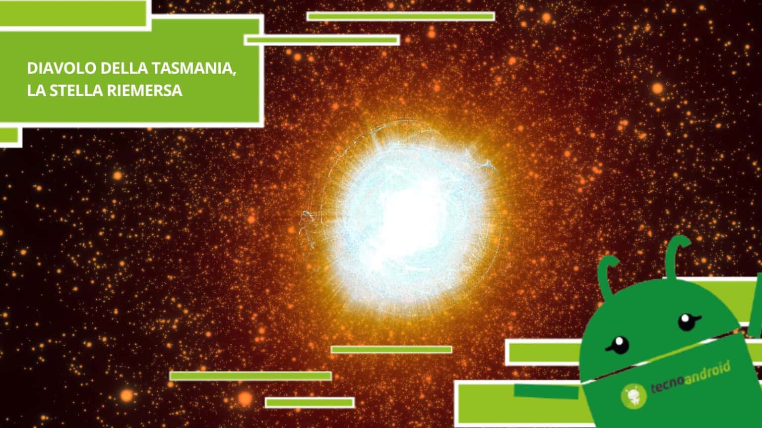 Diavolo della Tasmania, la stella che si è riaccesa dopo secoli di inattività