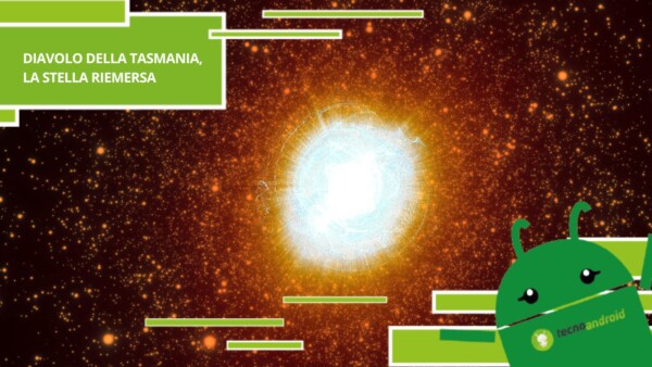 Diavolo della Tasmania, la stella che si è riaccesa dopo secoli di inattività