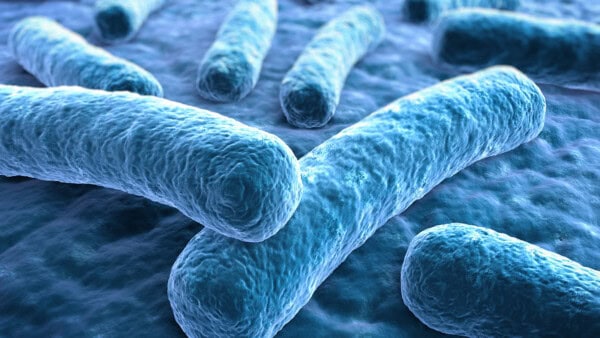 Una scoperta sensazionale sui batteri