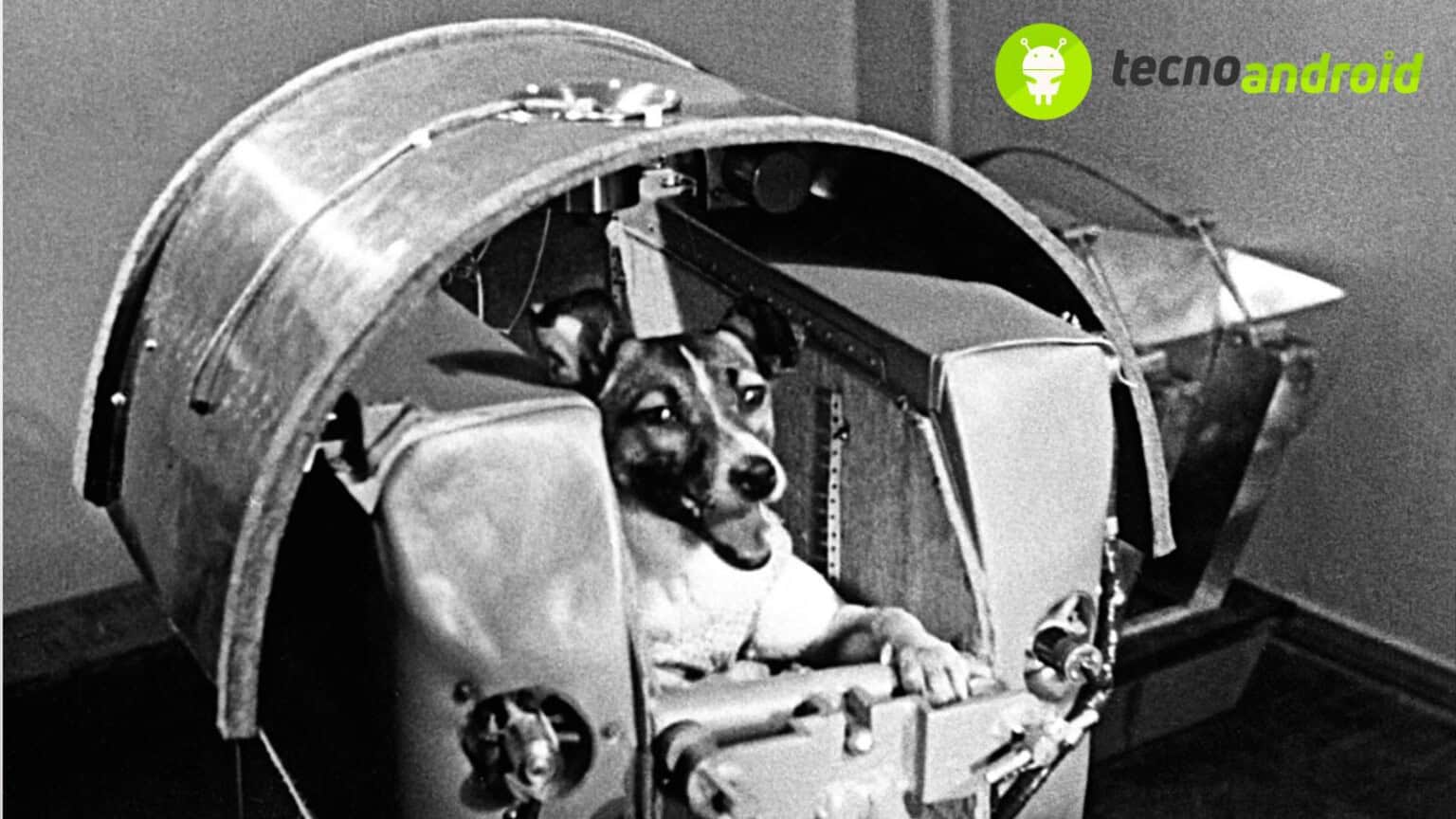 Laika primo cane inviato nello spazio