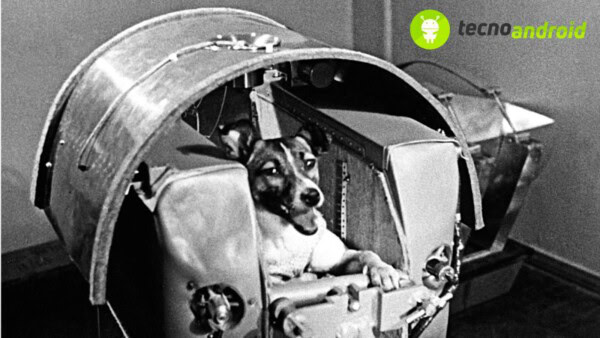 Laika primo cane inviato nello spazio