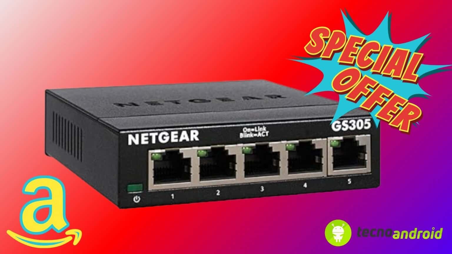 switch ethernet natgear