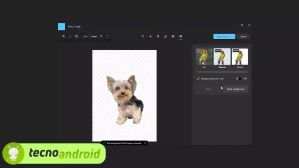 Windows 11 e AI: nuove funzionalità in arrivo per l’app Foto