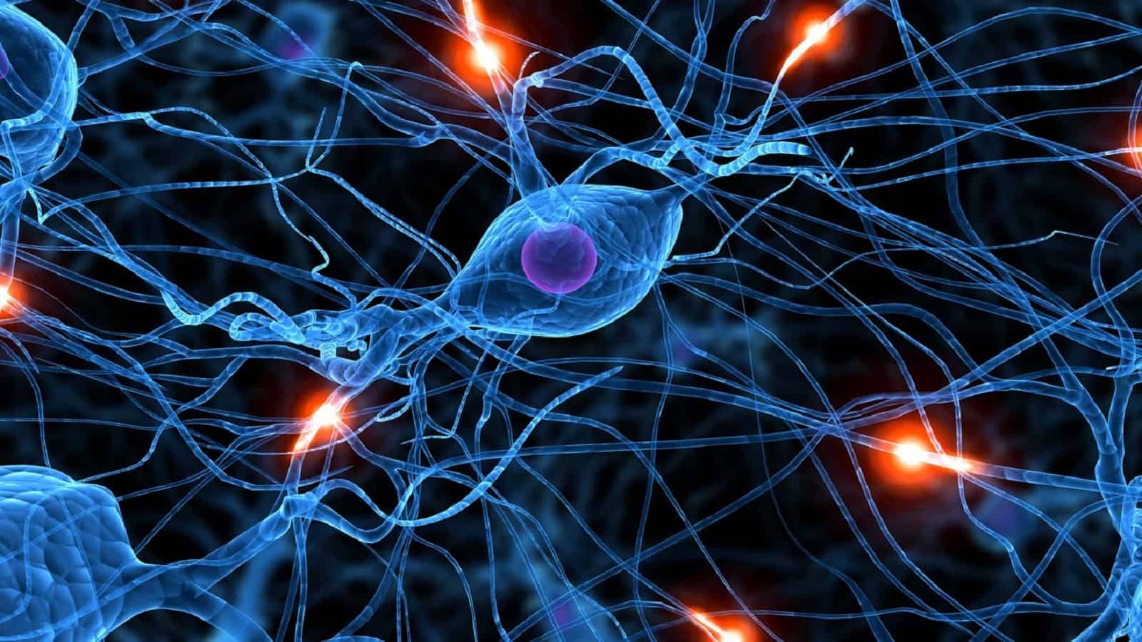 Uomo affetto da Parkinson cammina per 6Km dopo impianto spinale innovativo