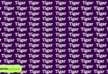 Illusione ottica: riesci a trovare la parola tigre in 15 secondi?
