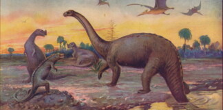 Lo strano legame tra i dinosauri e l'invecchiamento umano