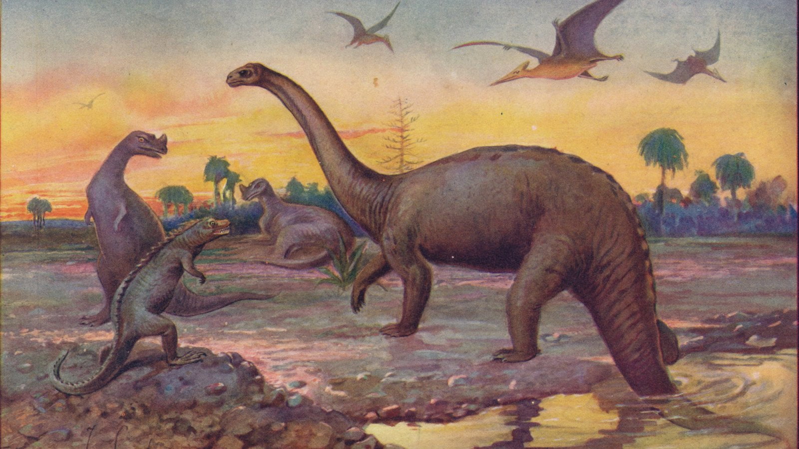 Lo strano legame tra i dinosauri e l'invecchiamento umano