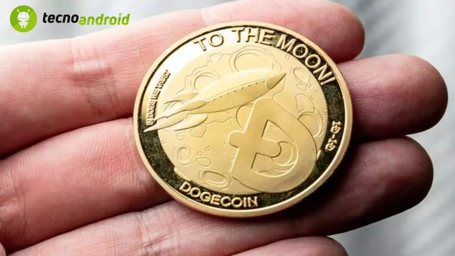 dogecoin milionario, perdita