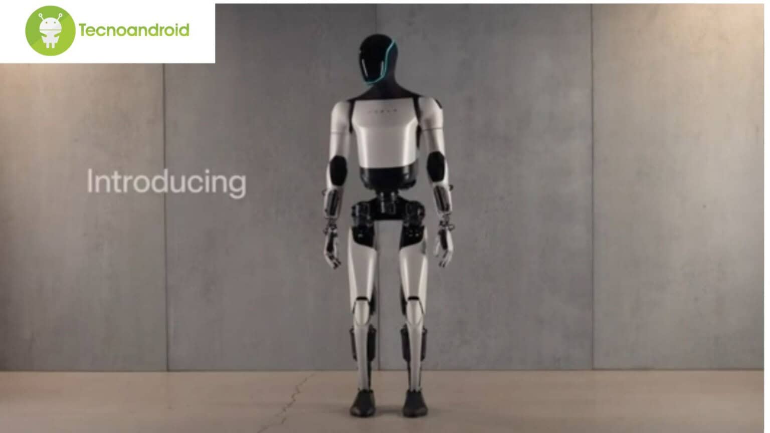 robot
