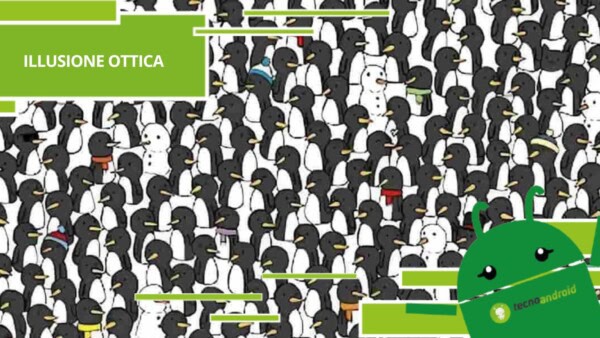 Illusione Ottica - non uno ma ben tre gatti nascosti, trovarli sembra impossibile