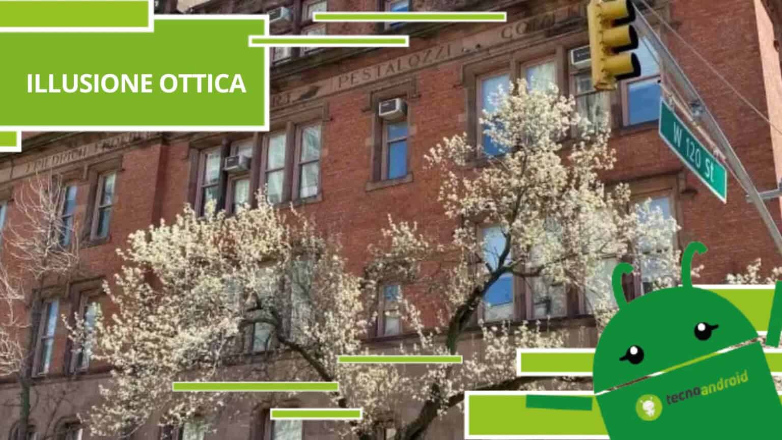 Illusione Ottica, nessuno è riuscito a trovare il secondo uccellino nascosto nella foto
