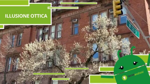 Illusione Ottica, nessuno è riuscito a trovare il secondo uccellino nascosto nella foto