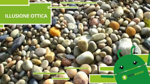 Illusione Ottica, quella del granchio è una missione quasi impossibile