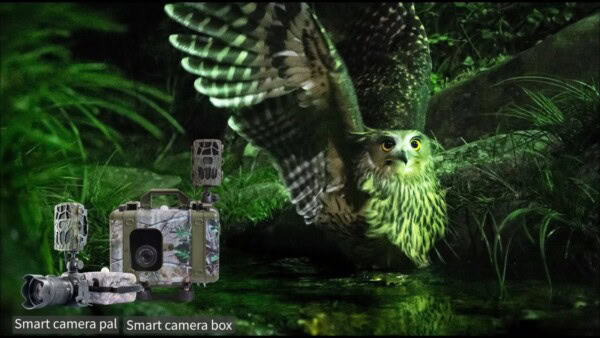 smart camera box di Ueleret