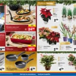 lidl - dettaglio lidl
