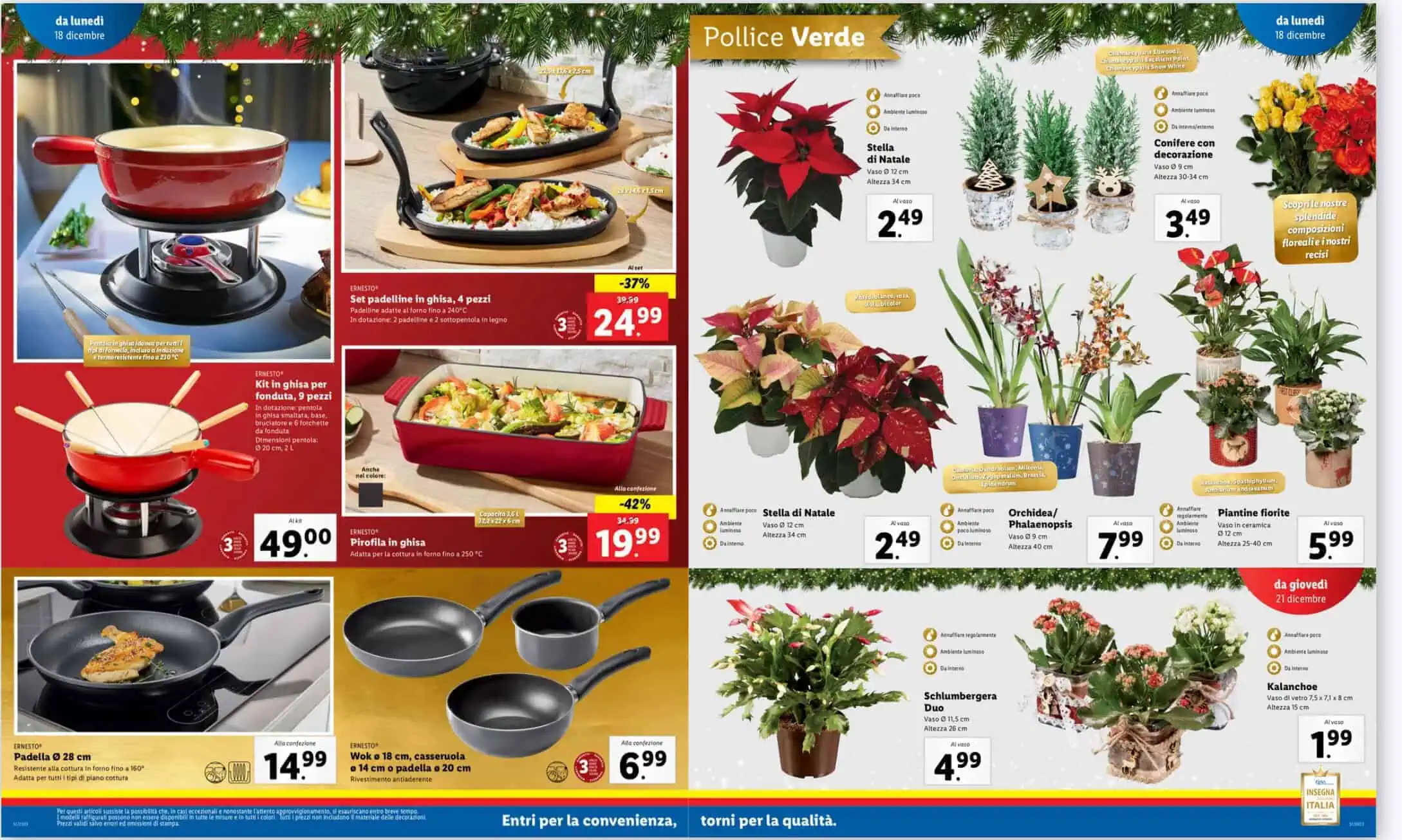 lidl lidl