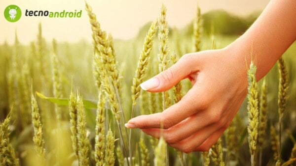 L'Innovazione Bioispirata: quando la Natura guida la Scienza