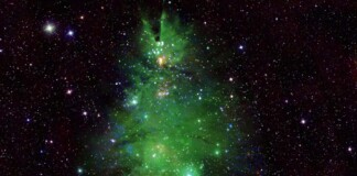 Nebulosa verde e stelle bianche: la poesia di NGC 2264