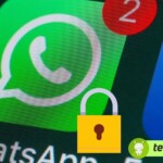 WhatsApp: ecco i trucchi per tenere al sicuro le tue chat