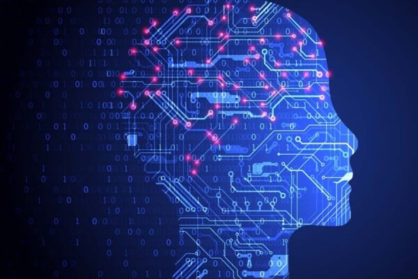 Organoidi cerebrali e circuiti elettronici: il cuore di Brainoware