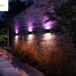 Philips - immagine 12 Philips - immagine 12