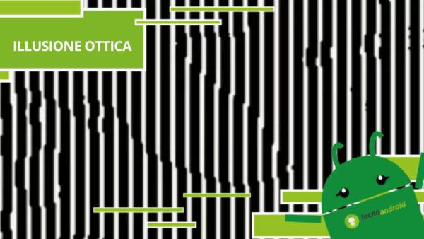 Illusione Ottica, c'è un animale nascosto tra le righe ma non è una zebra