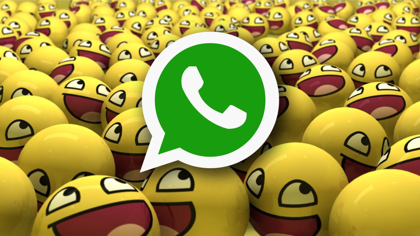 WhatsApp: un nuovo e importante aggiornamento per Android e iOS