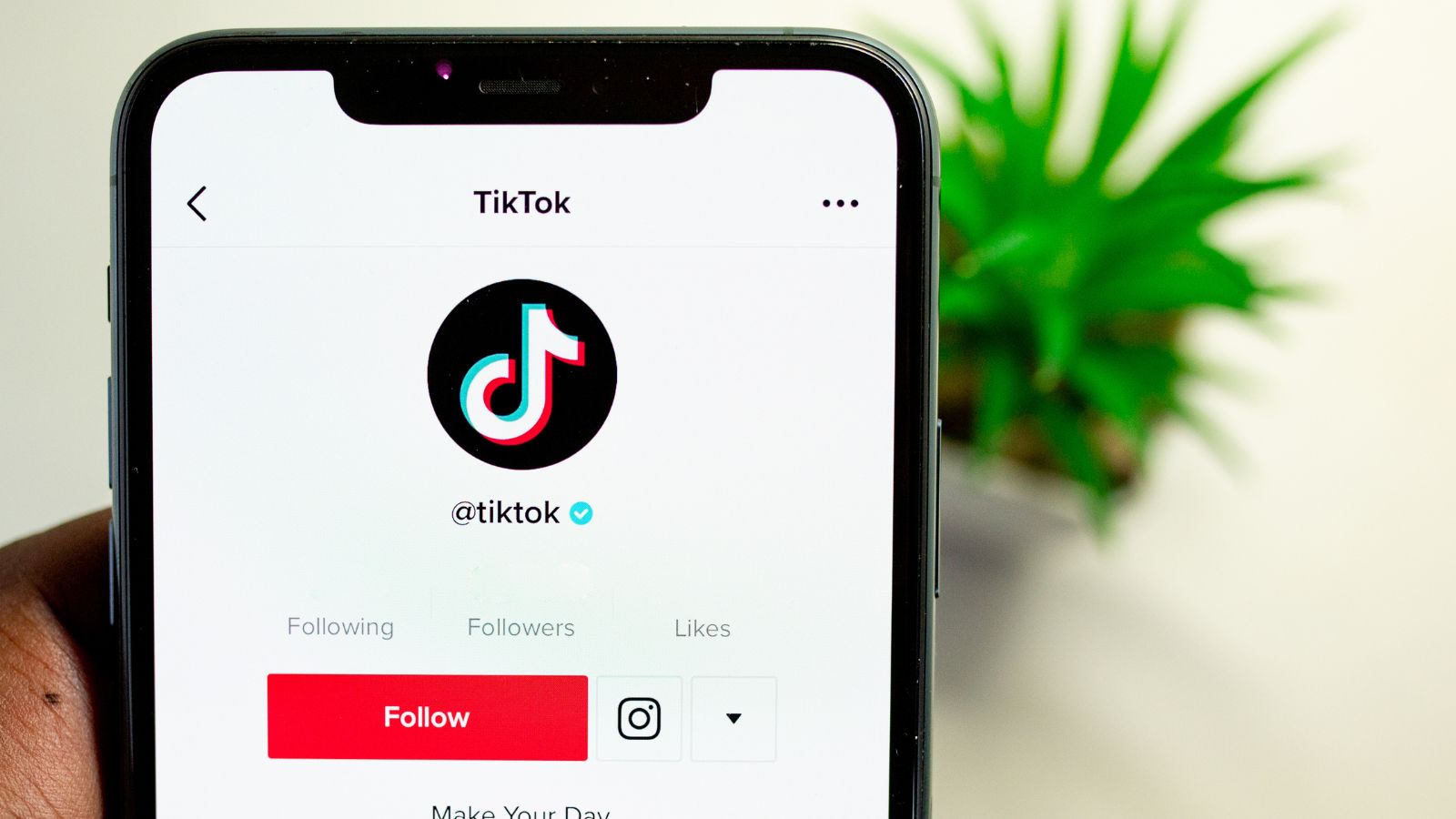 TikTok, novità per i video