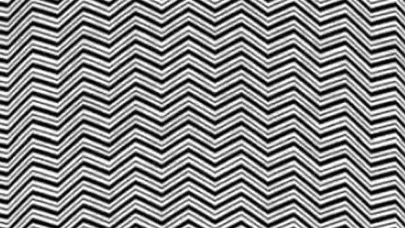 Un intricato disegno di zigzag bianchi e neri, ma l’illusione nasconde qualcosa di più!