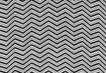 Un intricato disegno di zigzag bianchi e neri, ma l’illusione nasconde qualcosa di più!