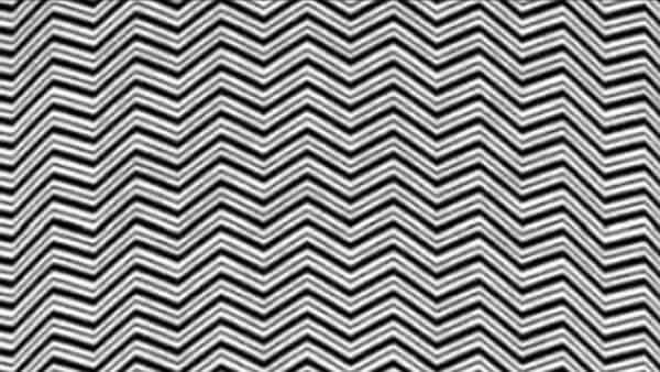 Un intricato disegno di zigzag bianchi e neri, ma l’illusione nasconde qualcosa di più!