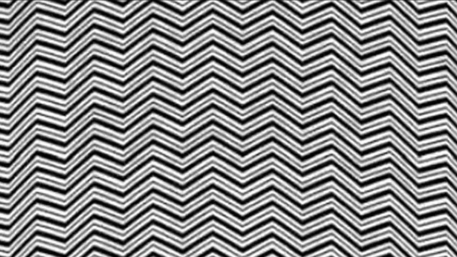 Un intricato disegno di zigzag bianchi e neri, ma l’illusione nasconde qualcosa di più!