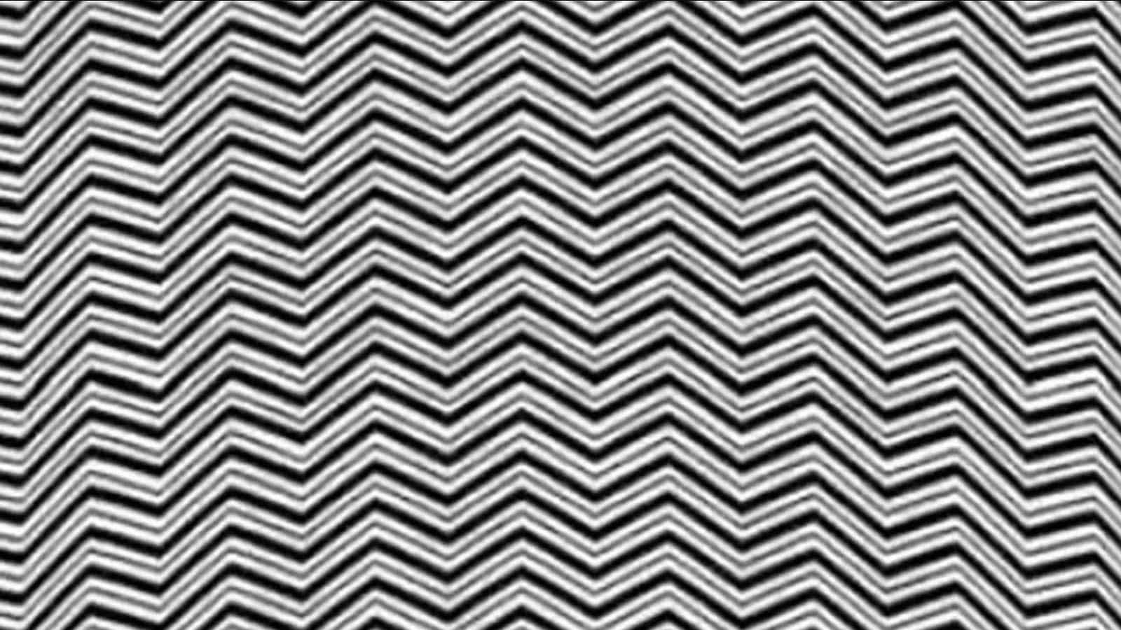 Un intricato disegno di zigzag bianchi e neri, ma l’illusione nasconde qualcosa di più!