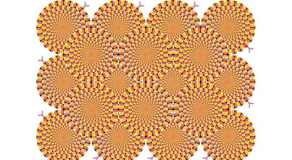 Illusione in movimento