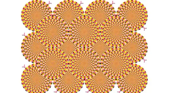 Illusione in movimento