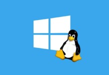 Affinità e differenze tra Windows e Linux