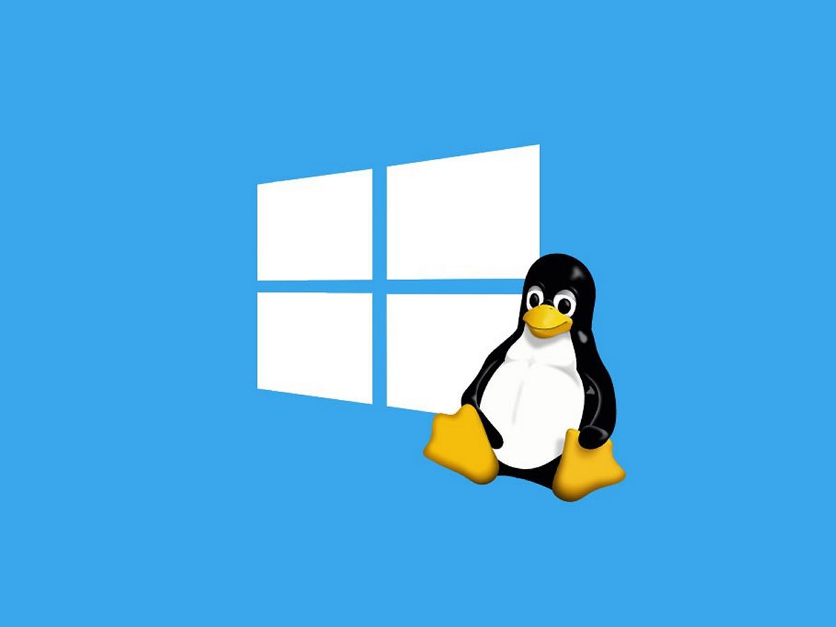 Affinità e differenze tra Windows e Linux
