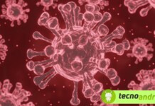 Come succede al corpo umano quando più virus lo attaccano?
