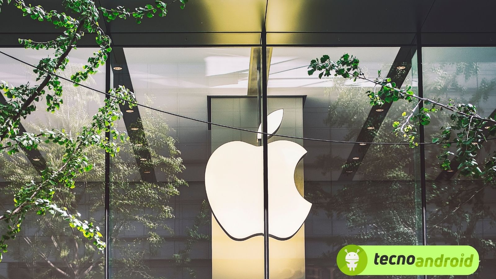 Apple Store: dubbi sulle vendite e indagini per iPhone e iPad