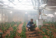 Scena tratta dal film "The Martian" che mostra una serra su Marte