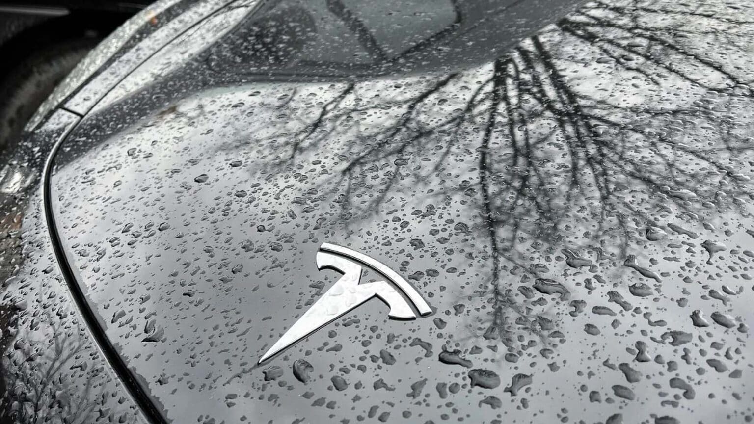 Le variabili che influenzano il futuro di Tesla e la sua posizione nel settore automobilistico